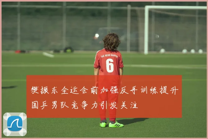 樊振东全运会前加强反手训练提升国乒男队竞争力引发关注